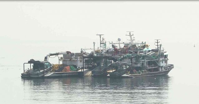 Mayın endişesiyle balık fiyatları fırladı!