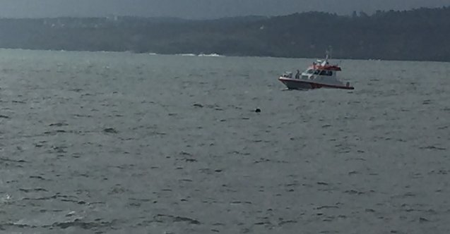 Türkeli demirleme sahasında mayın olduğu düşünülen cisimler! (Video)