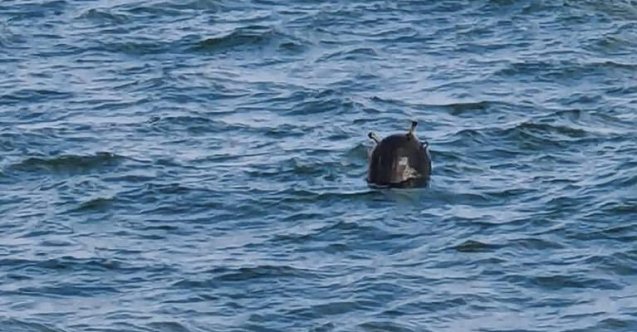 Kefken açıklarında bir mayın daha tespit edildi: Mayınlar tehlike saçmaya devam ediyor!