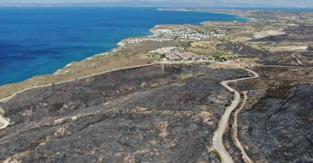 Çeşme yangını kontrol altında