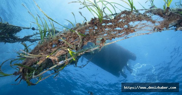 1,7 Milyon Su Canlısı, &#039;Hayalet Avcılar&#039;ın Temizlenmesiyle kurtuldu