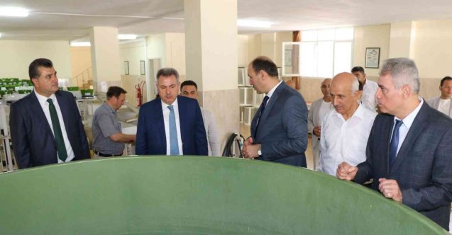 Göl ve göletlere 10 milyon yavru balık