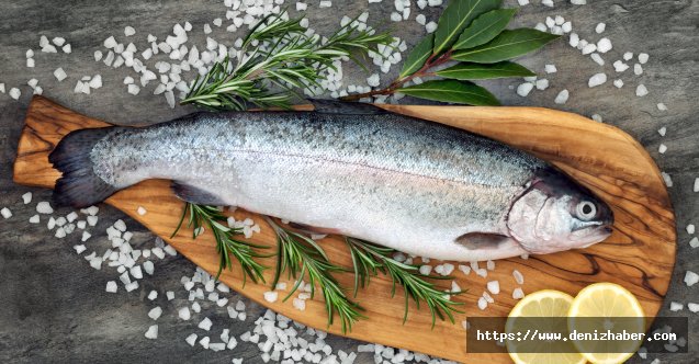 Levrek, çipura, orkinos, alabalık ihracatı 951 milyon dolara ulaştı