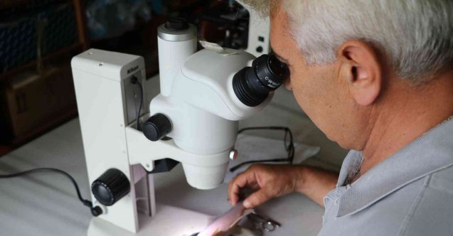 Rizeli akademisyenler dünya balık faunası için 5 yeni sazan cinsi keşfetti