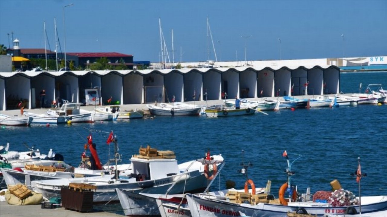 Balıkçılar mutlu! Hayaldi, gerçek oldu