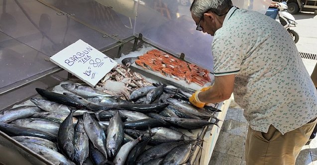 Avlanan balık miktarı 600 bin tondan 300 bin tona düştü
