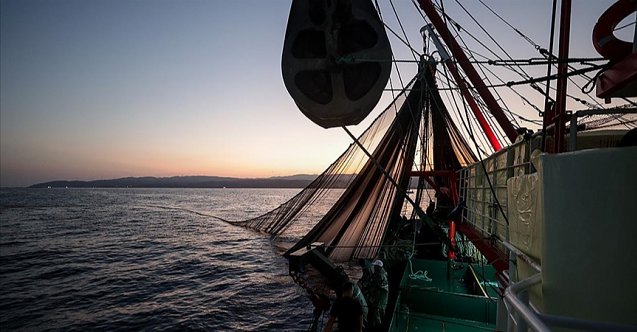 Bakanlık, balık stoklarına araştırma gemileriyle takip edecek