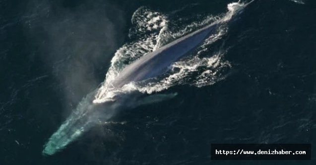 BM Açık Denizler Anlaşması Görüşmelerinden Sonuç Alınamadı