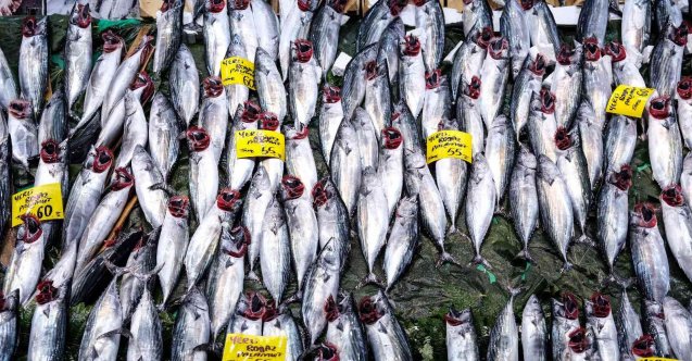 Tezgahlarda palamut bolluğu