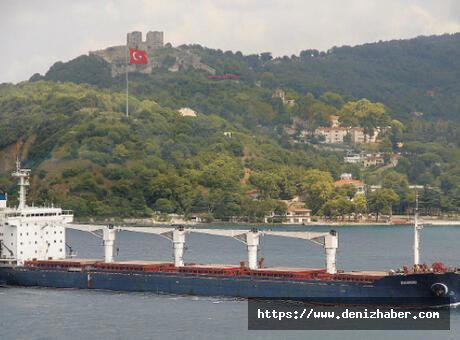 Ukrayna&#039;dan tahıl koridoruyla bir ayda 122 gemi