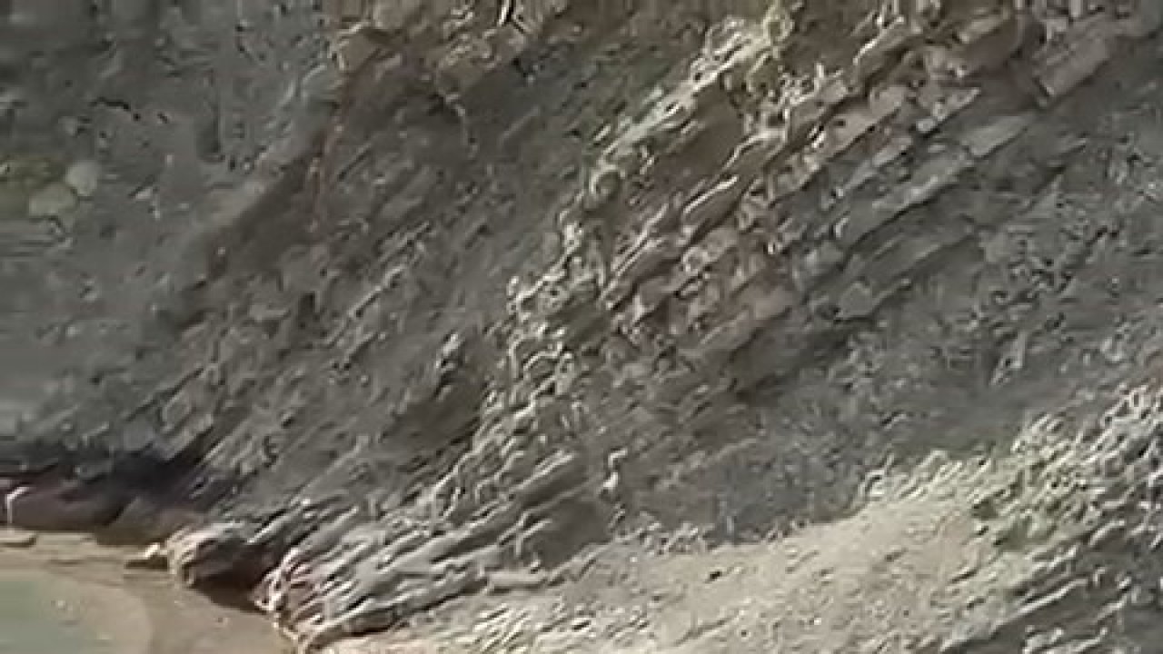 Koruma altındaki su samuru balık avlarken görüldü