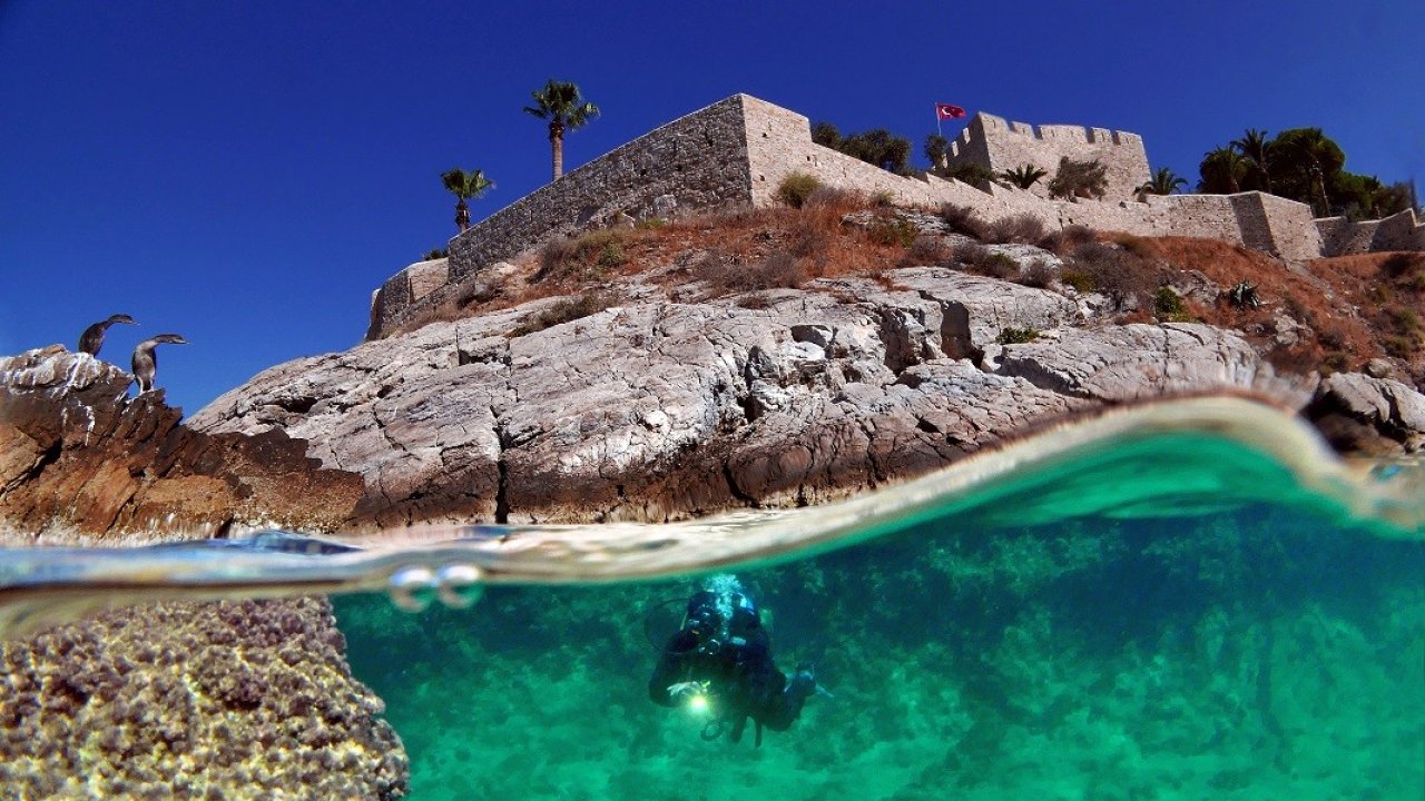 Kuşadası Belediyesi Deniz Canlıları Tanıtım Merkezi kuruyor