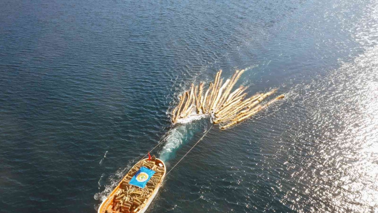 Martı Koyunda tomruklar denizden taşındı