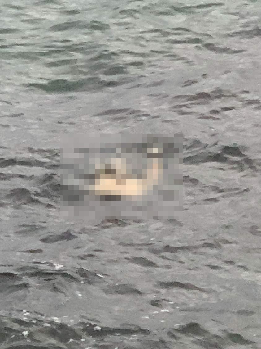 Yenikapı’da denizden ceset çıkarıldı