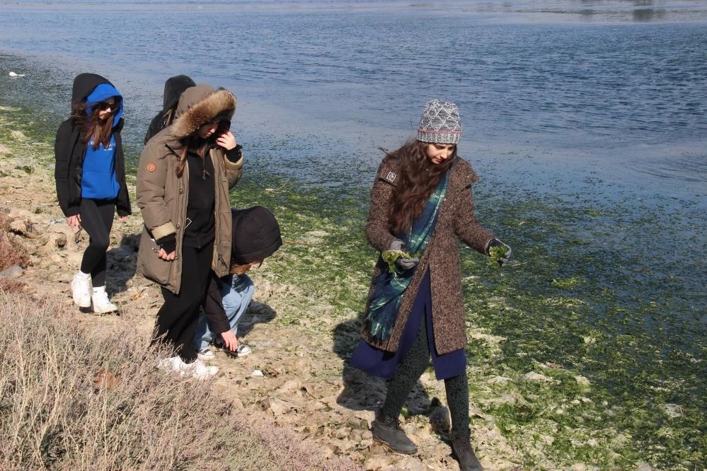 &quot;Deniz marulundan ambalaj&quot; projesine birincilik ödülü