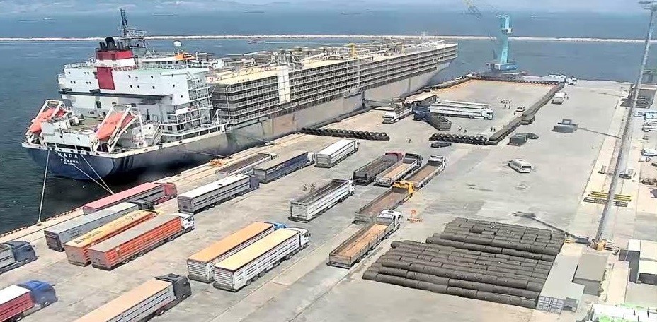 Bandırma Limanı’nda canlı hayvan tahliyesi  sürüyor