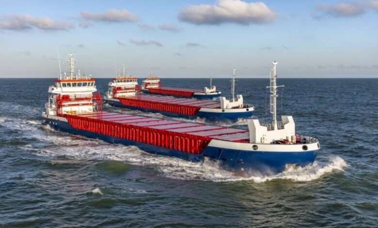 Feyz Grup, Damen&#039;e iki gemi daha yaptırıyor