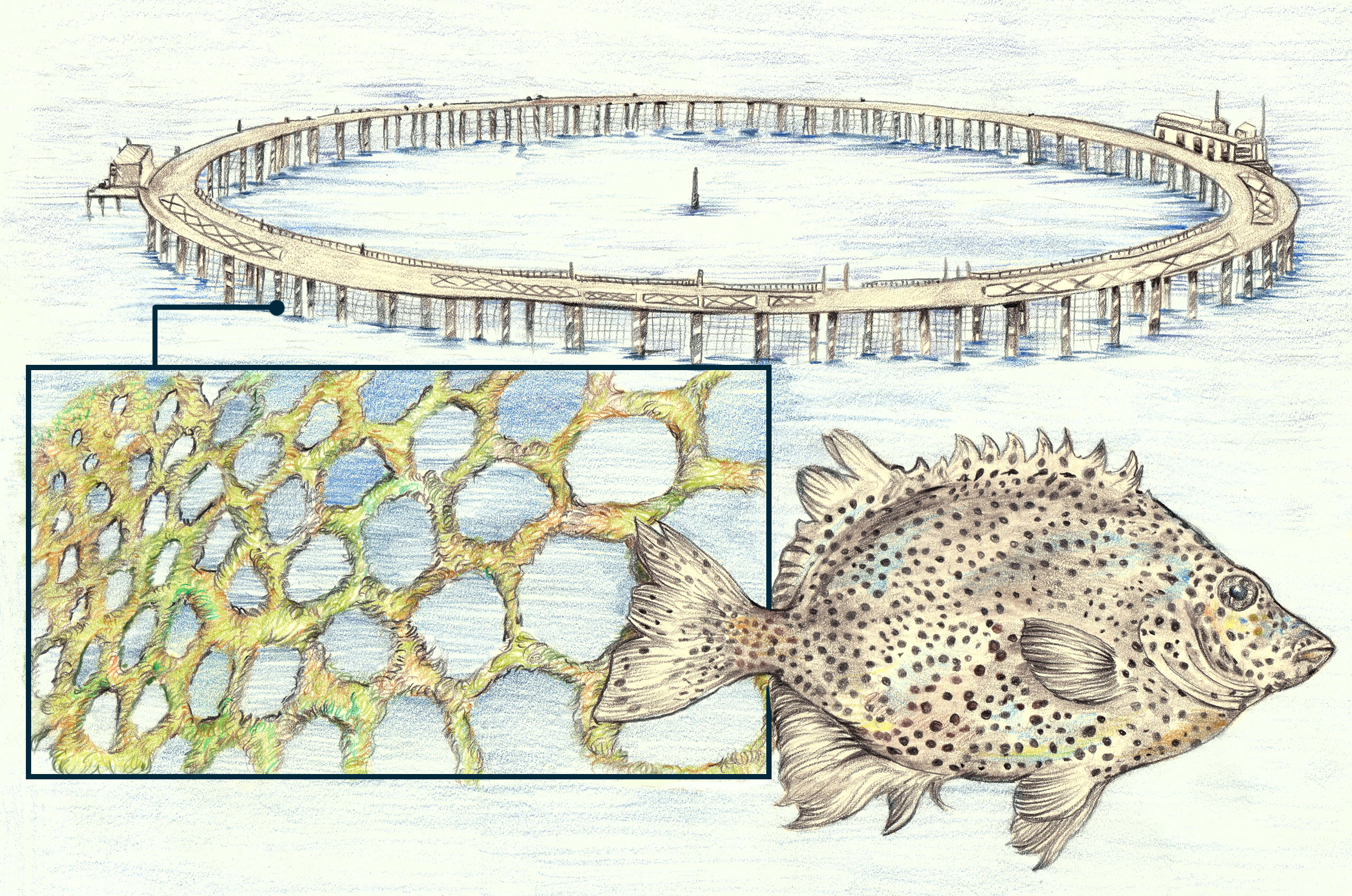 20231010_Offshore-fish-farming_Lanzuan_RicardoMaciaLalinde_ChinaDialogueOcean