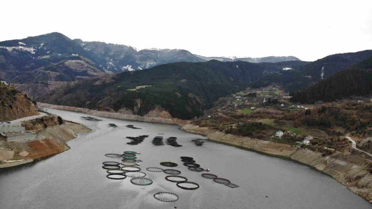 Gümüşhane’nin karlı dağlarının arasından dünyaya balık ihracatı