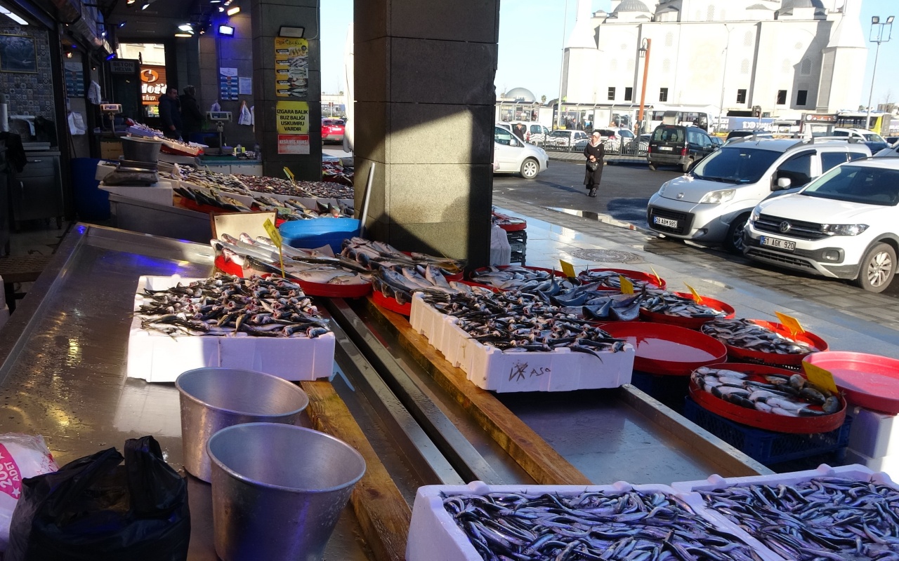 Hamsi avı azalınca 2 gün avlanmama kararı aldılar