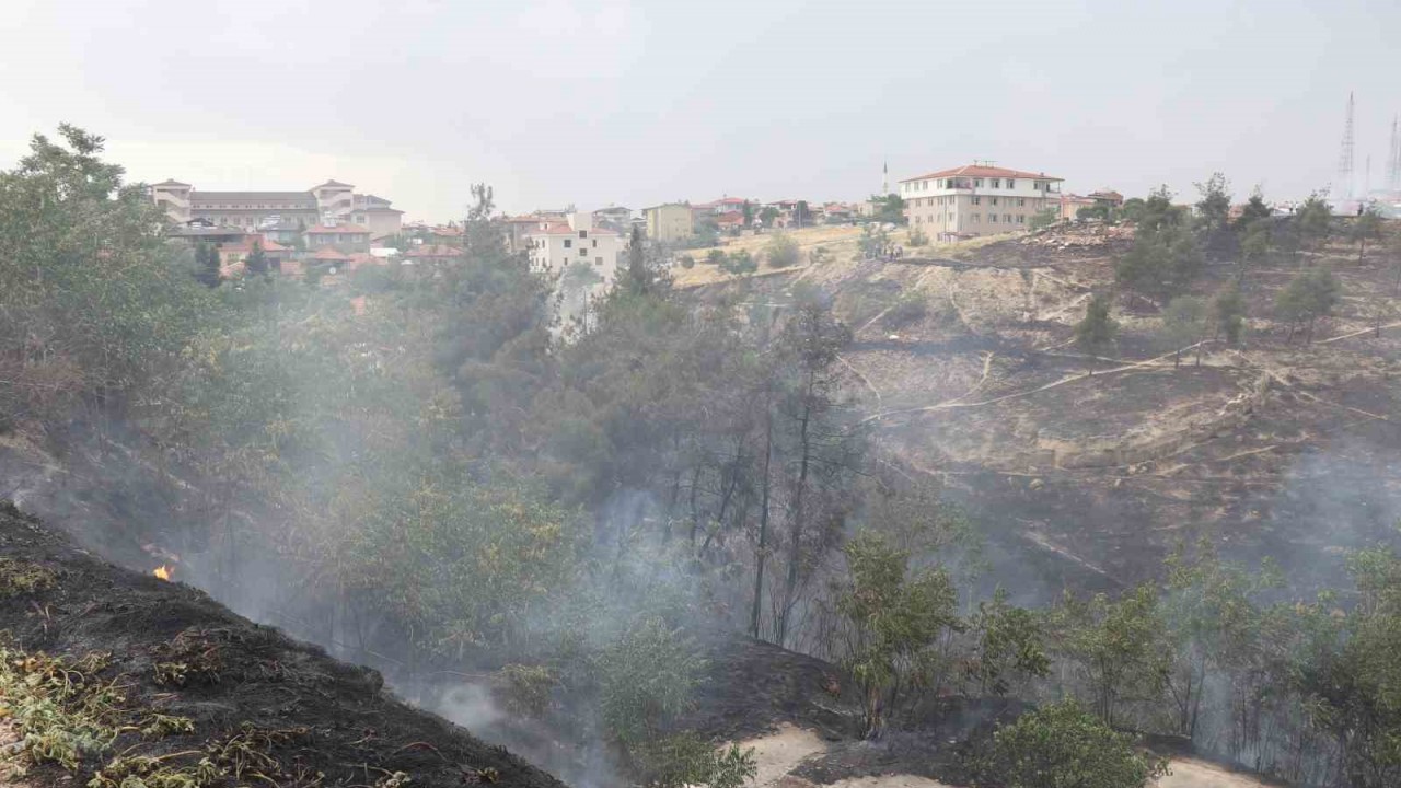 Denizli’deki orman yangınına  havadan ve karadan müdahale ediliyor