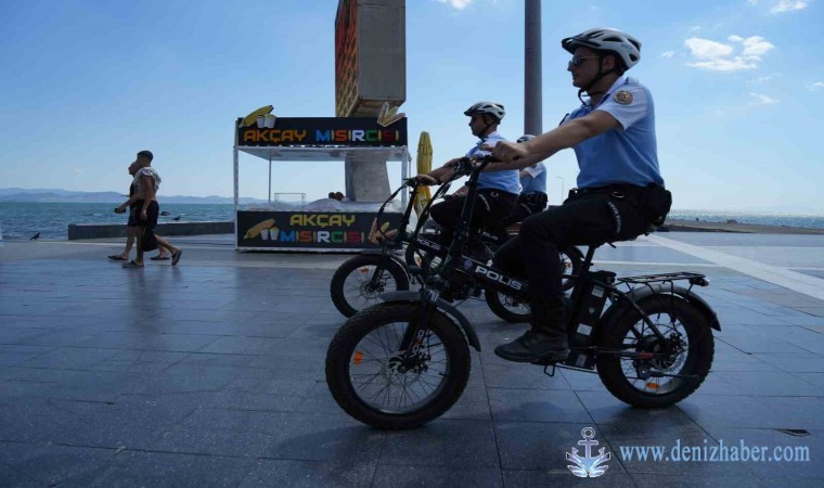 Sahillerde güvenlik “Martı”lara emanet