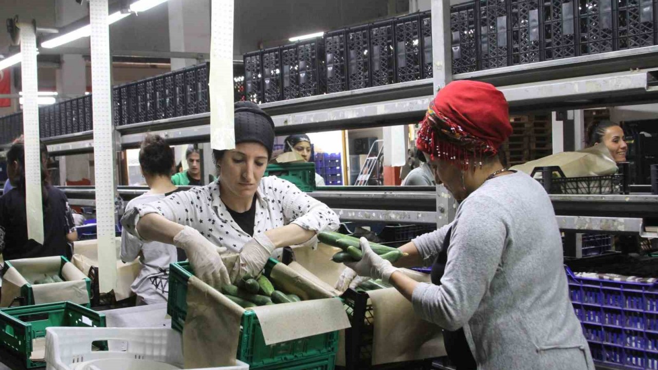 Batı Akdeniz’de ihracat yaklaşık 2 milyar dolara ulaştı