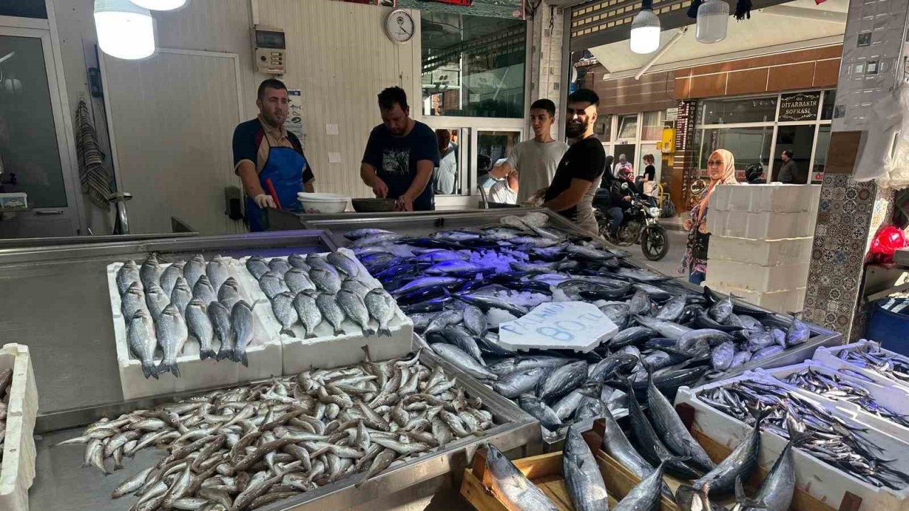 Karadeniz’de palamut bolluğu: Tanesi 80 liraya düştü