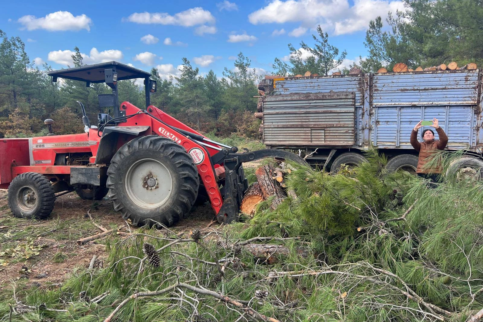 CHP&#039;li vekilden Kazdağları’ndaki ağaç kıyımına suçüstü!
