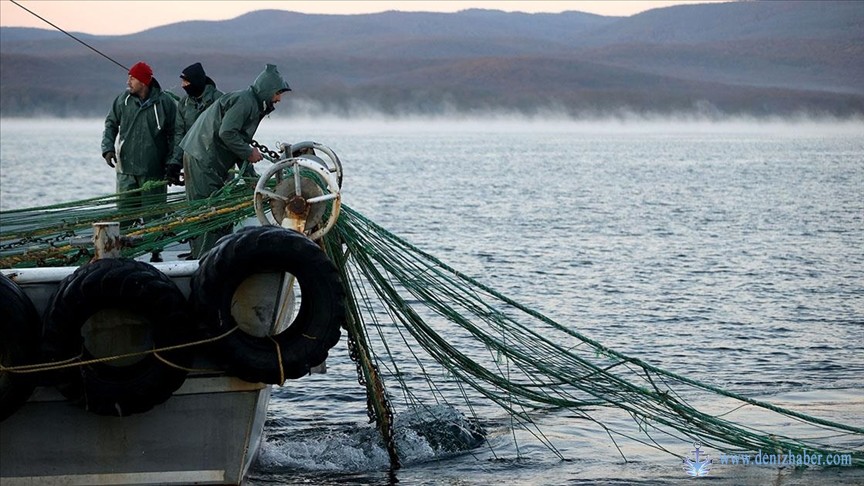 FAO&#039;dan Türkiye&#039;ye 4&#039;üncü kez &quot;Tam Uyum Ödülü&quot;