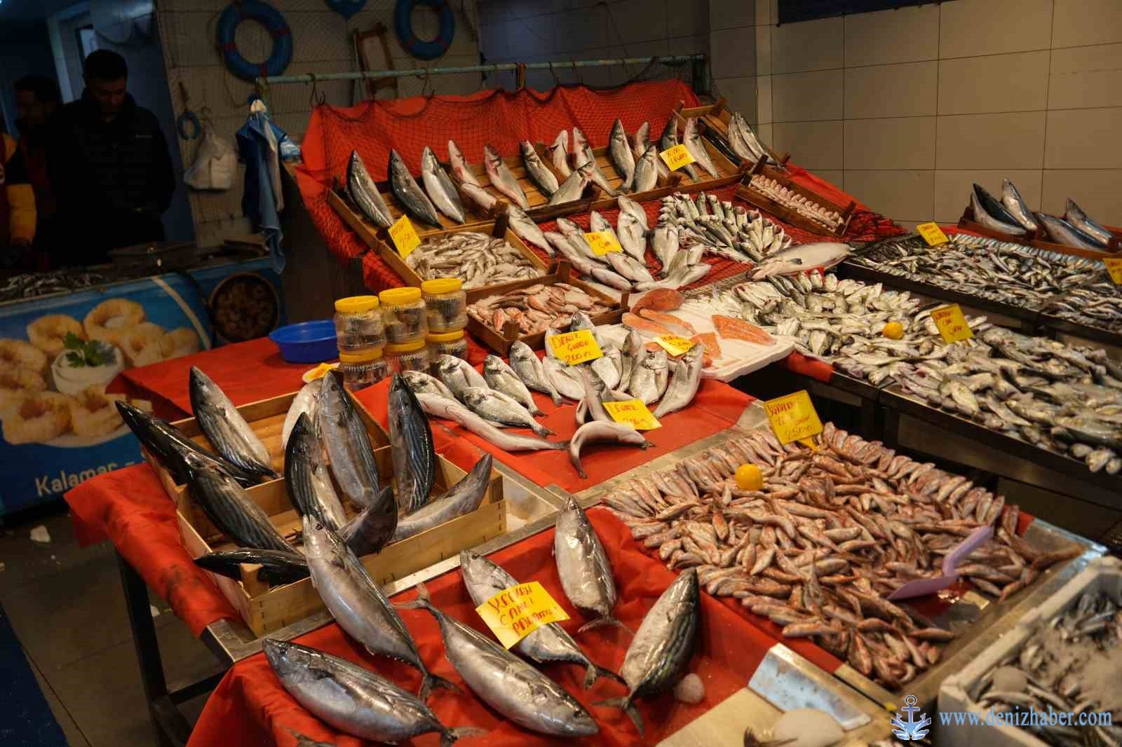 Palamuda veda, çinekop ve hamsi tezgahlarda