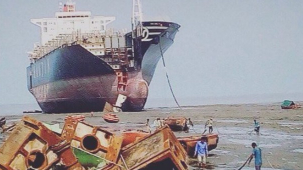 GMS: Gemi Geri Dönüşüm Piyasasında 2025&#039;e Dalgalı Başlangıç