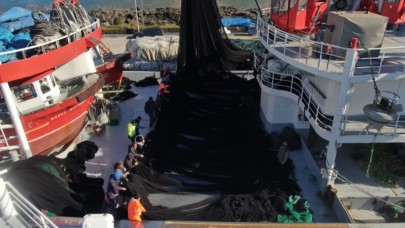 Hamsi bitti, tekneler erken "paydos" etti!