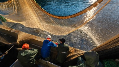 Türkiye genelinde denizlerde av yasağı başladı