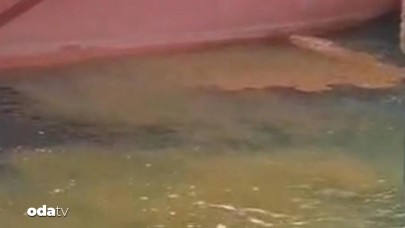 Tersanede bulunan "AL LUQTA" adlı gemiye 26 milyon ceza