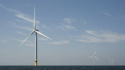 Hollanda, Balıkçılık İçin Rüzgar Hedeflerini Kıstı