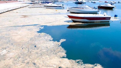 Saros Körfezi ve Çanakkale Boğazı'nda tehlike çanları!