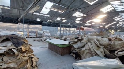 Yunanistan’da Deri Üzerinden Kokain Kaçakçılığı: 11 Gözaltı