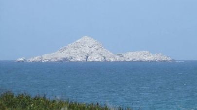 Güney Afrika, Penguenleri Korumak İçin Yakıt İkmalini Kısıtlıyor