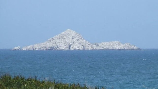 Güney Afrika, Penguenleri Korumak İçin Yakıt İkmalini Kısıtlıyor