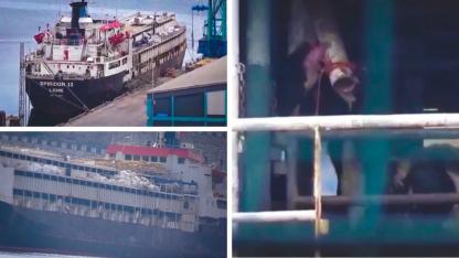 Hayvan gemisinde skandal: Ölüm, susuzluk, kötü koku!