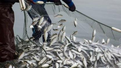 Türkiye, Yunanistan’a en çok balık ihraç eden ülke oldu.