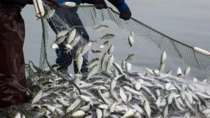 Türkiye, Yunanistan’a en çok balık ihraç eden ülke oldu.