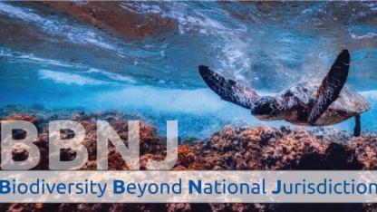 "Okyanus Anayasası" (BBNJ) Resmen Yürürlüğe Girdi