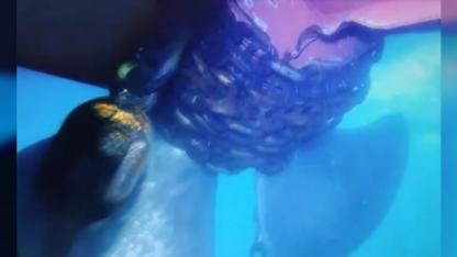 Küçükçekmece’de tanker kazası: Çevreye zarar yok