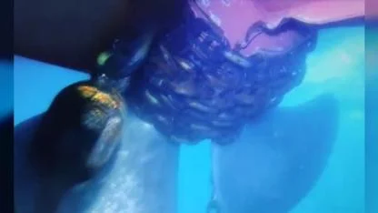 Küçükçekmece’de tanker kazası: Çevreye zarar yok