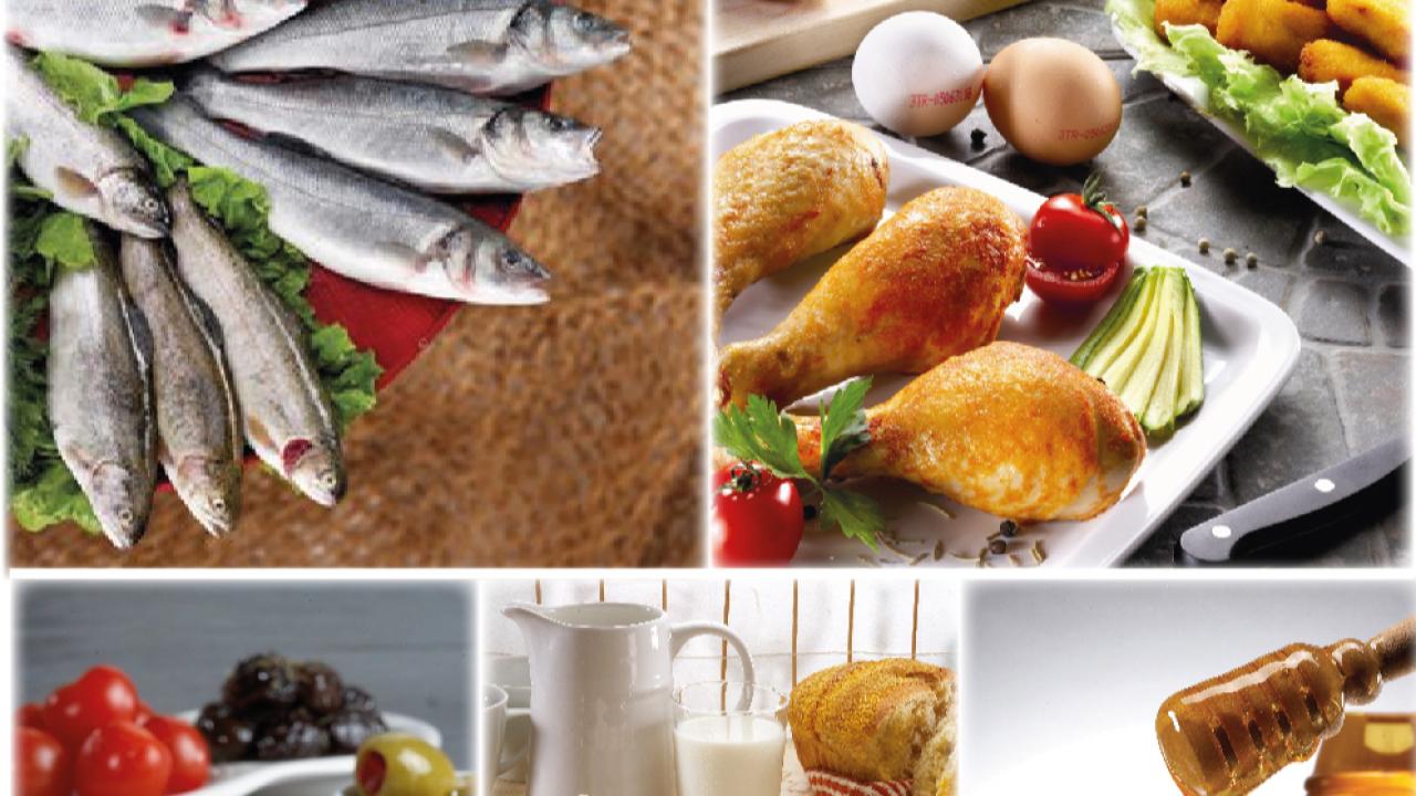 Su ürünleri ve hayvansal mamuller sektörü ihracatta 4 milyar doları aştık