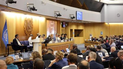 Türkiye'den IMO'ya Başvuru: Tonaj Sınırları Esnetilsin