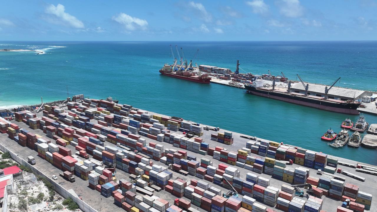 Albayrak Grubu, yurtdışındaki 7 stratejik limanını ALPORT markası altında topladı