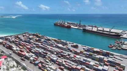 Albayrak Grubu, yurtdışındaki 7 stratejik limanını ALPORT markası altında topladı